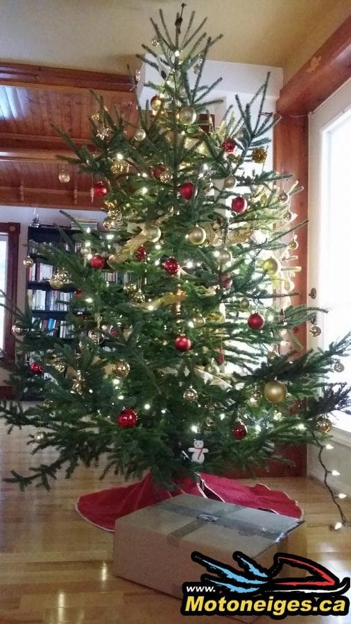 Christmas on December 20 – Thanks to Olympia, Our new Partner!