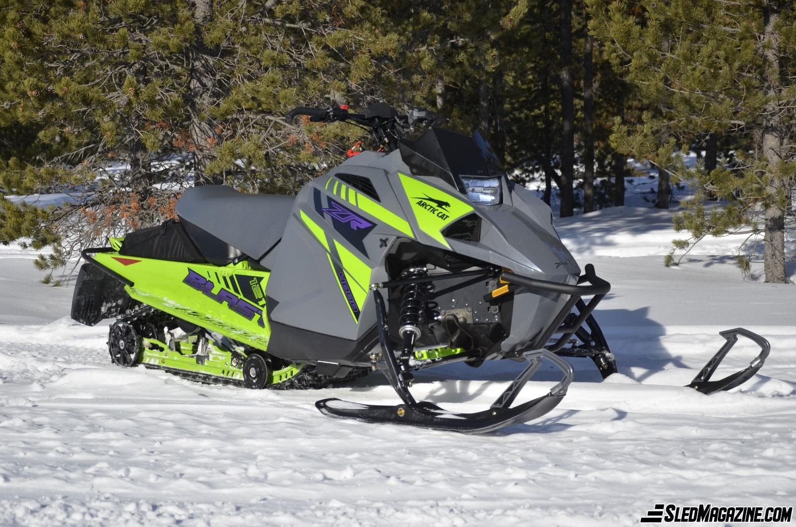 The Arctic Cat Surprise