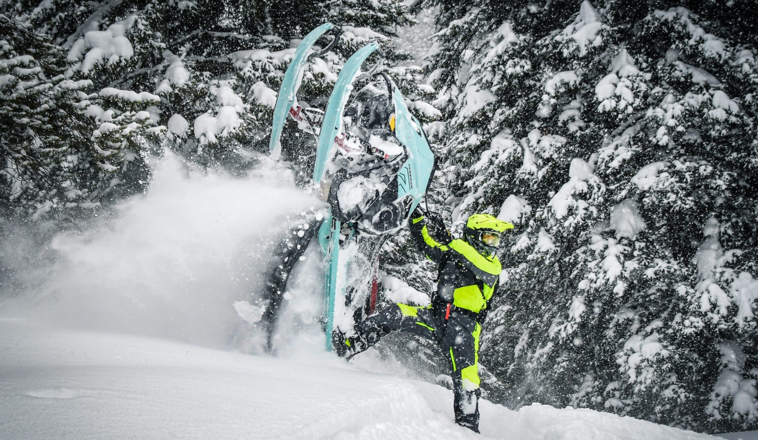 Freeride 2024: A New Design and So Many Upgrades