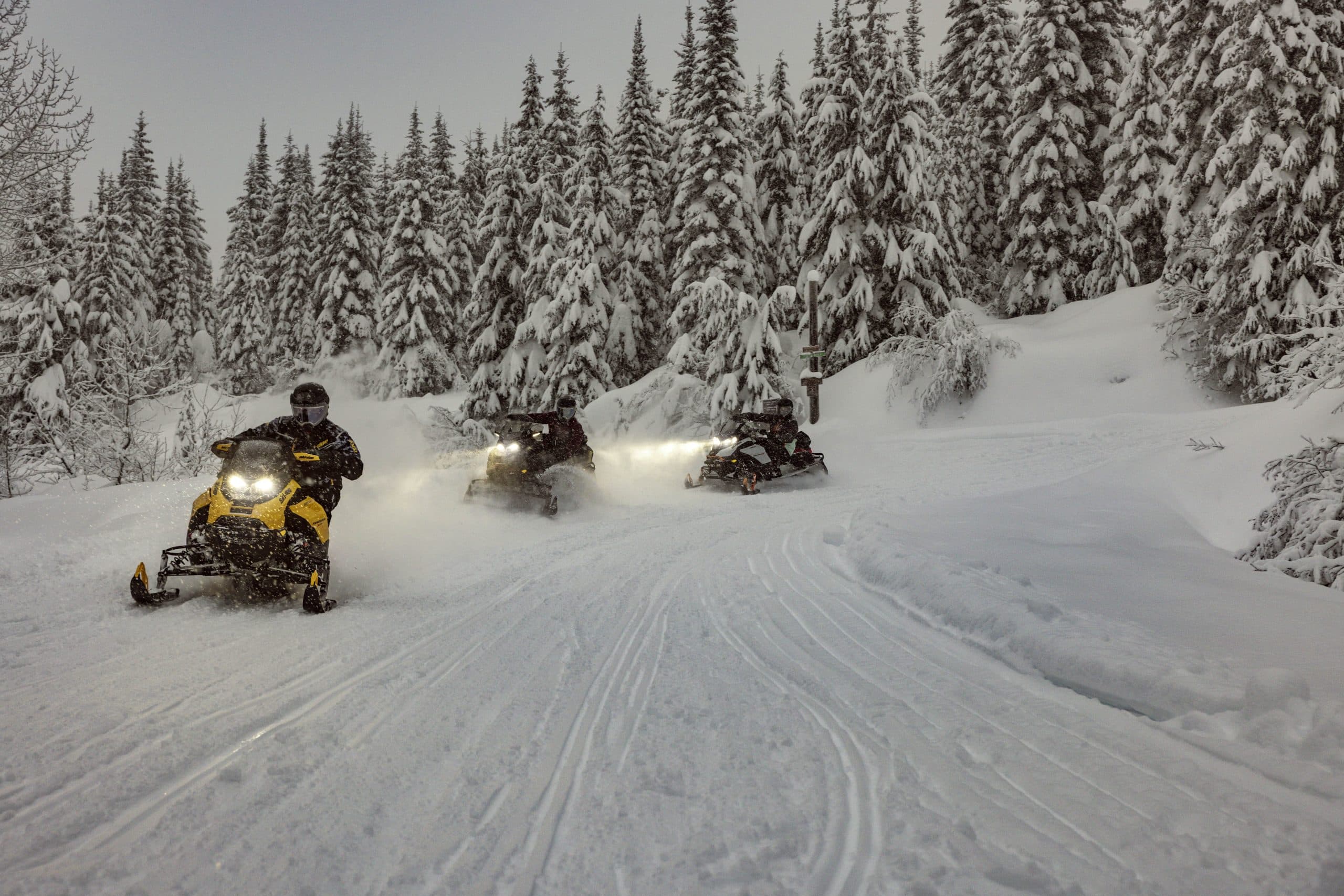 Overview of Ski-Doo 2025 Innovations