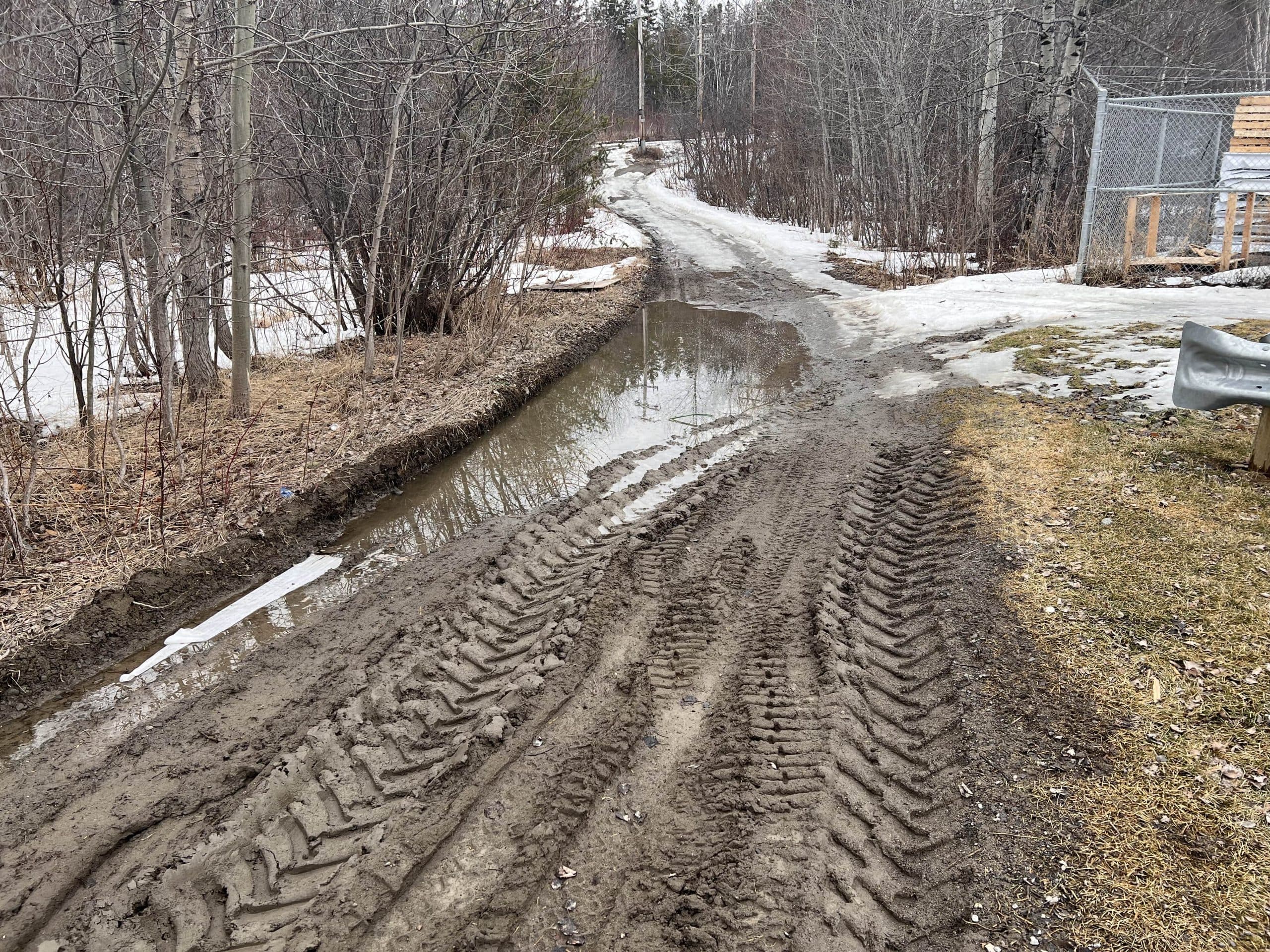 Opinion Piece: This Winter That Would Never Come