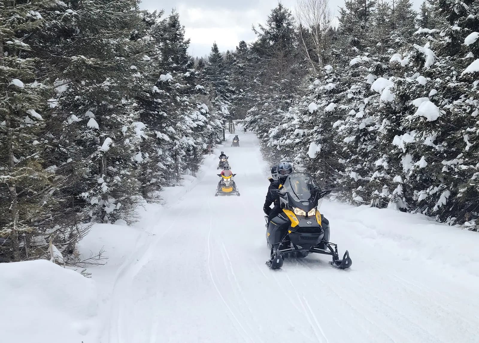 Snowmobilers, are you well insured?