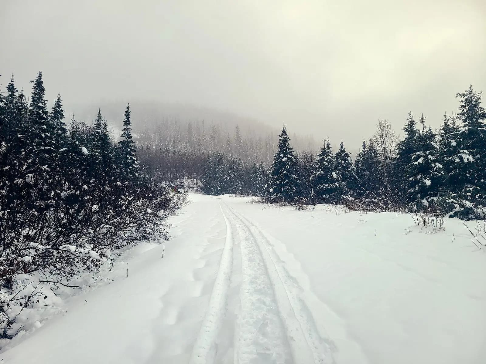 Snowmobile Adventure: A November Day in the Mountains