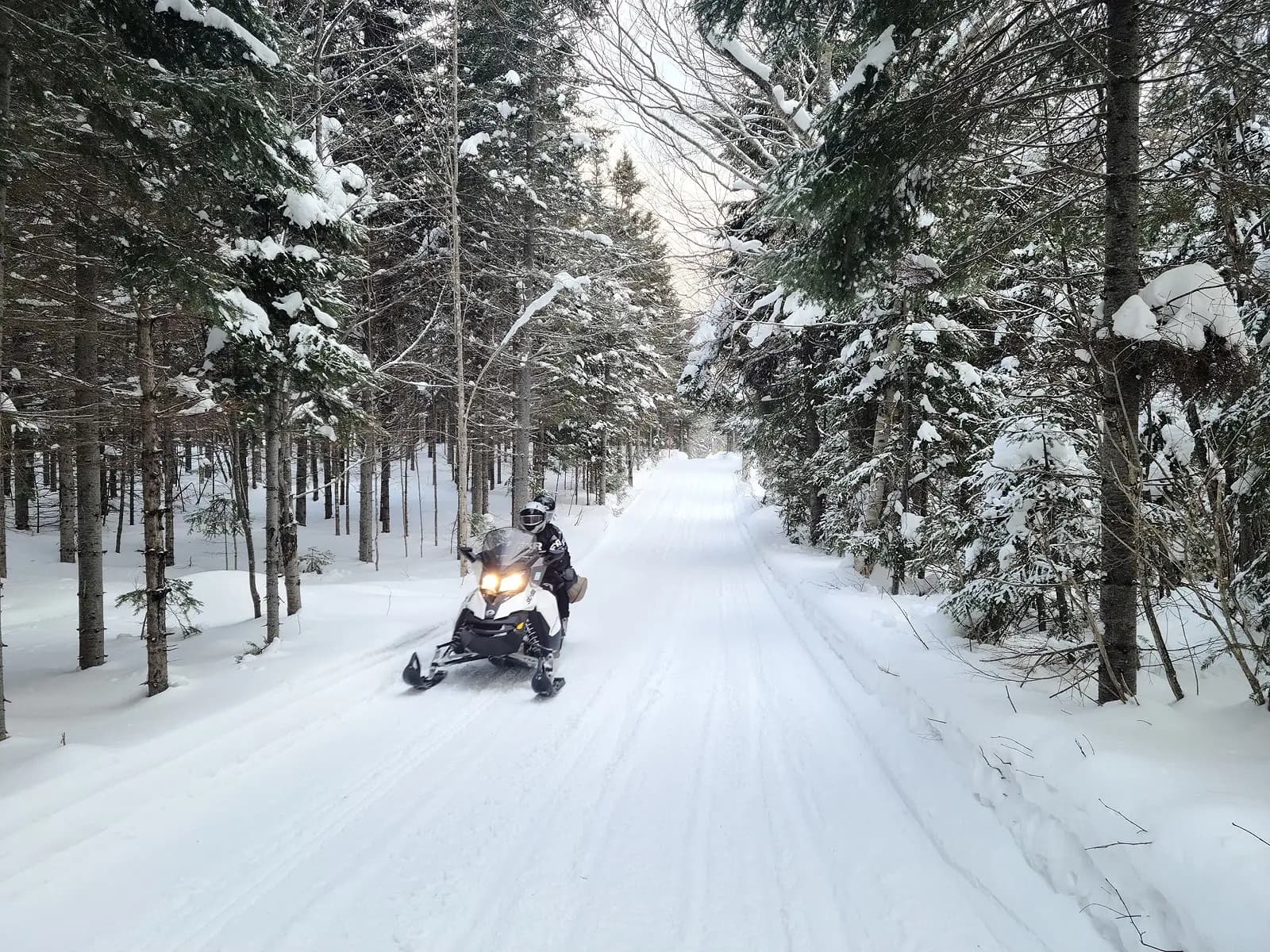White Christmas in Quebec: A Promising Snowmobile Season Before New Year’s