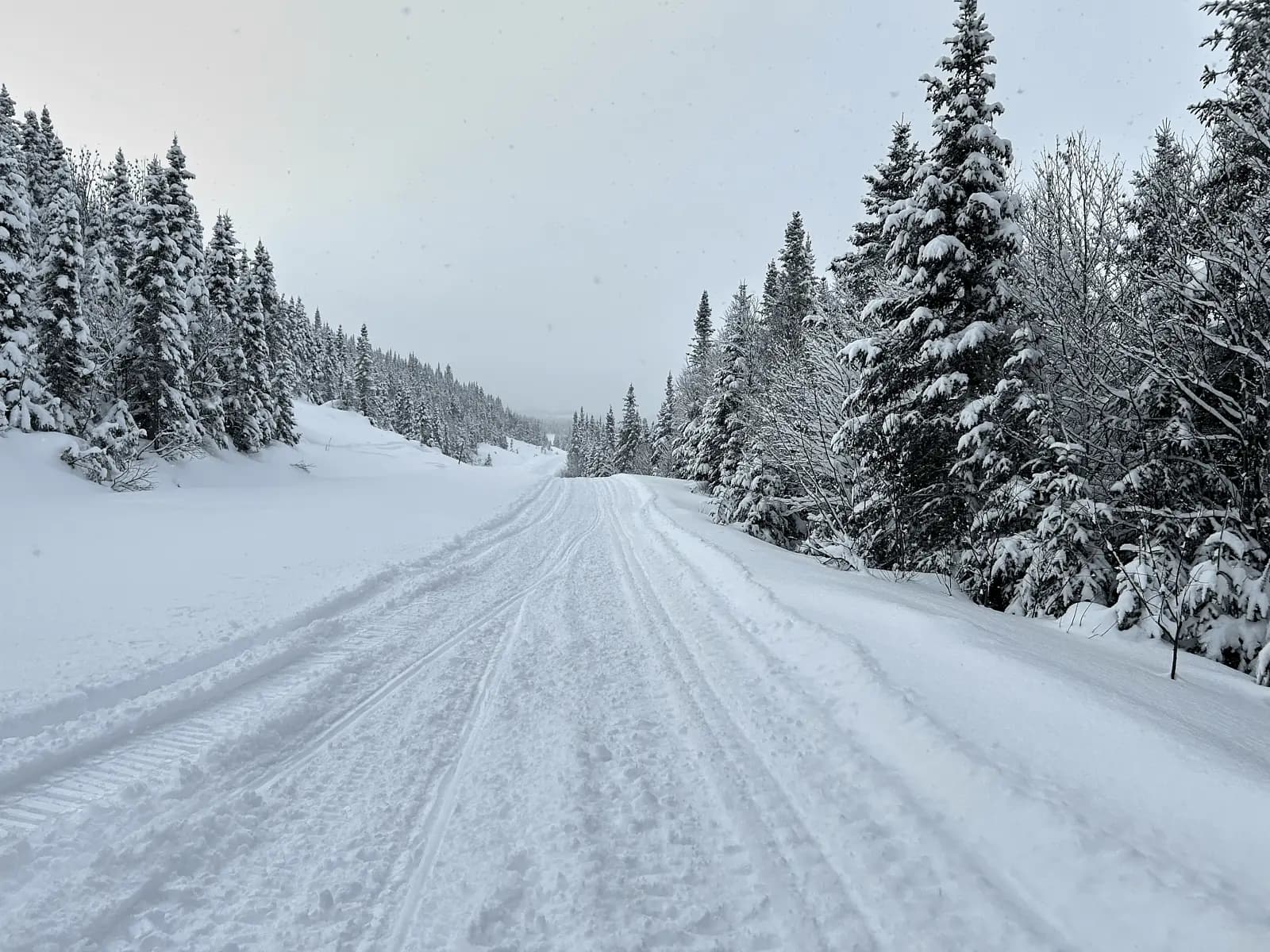 Trails en NORD: A Promising Project for Snowmobile Enthusiasts