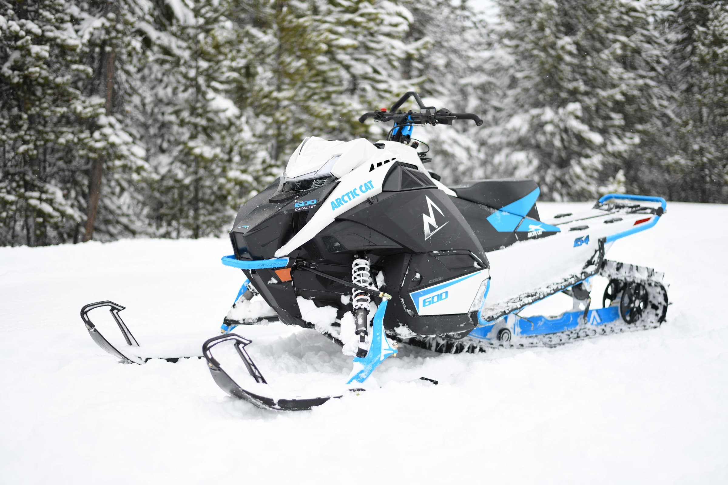 Why is the Arctic Catalyst 600 MTN so popular in the mountains?